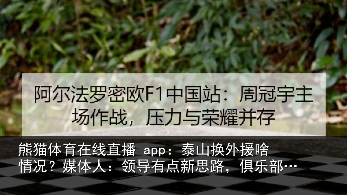 熊猫体育在线直播 app：泰山换外援啥情况？媒体人：领导相关情况还在推进